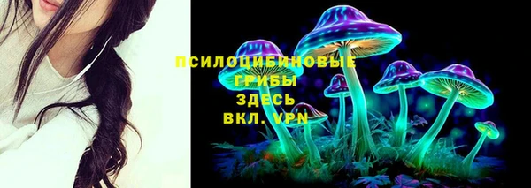 PSILOCYBIN Бугульма