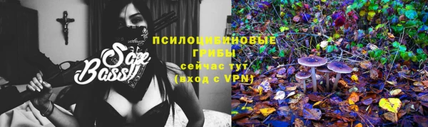 марки lsd Бородино