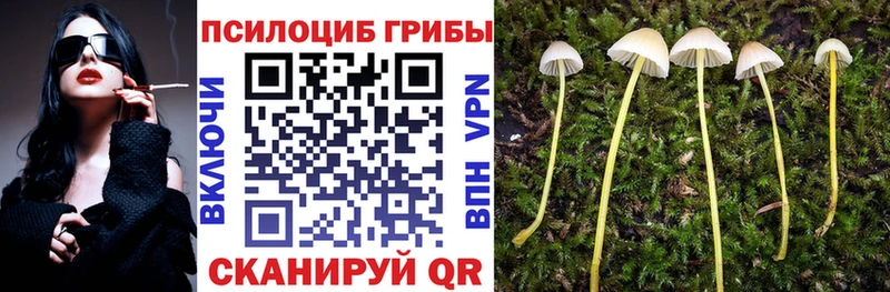 Галлюциногенные грибы Psilocybine cubensis  Катав-Ивановск 